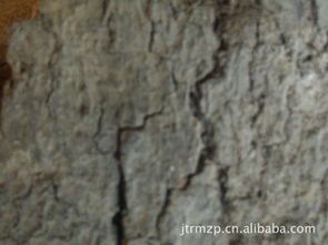 廣西百色市金騰軟木制品廠 專(zhuān)業(yè)制造優(yōu)質(zhì)軟木制品